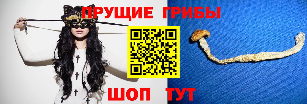 Чусовой  Псилоцибиновые грибы Psilocybine cubensis  Галлюциногенные грибы MAGIC MUSHROOMS  Вход с VPN 